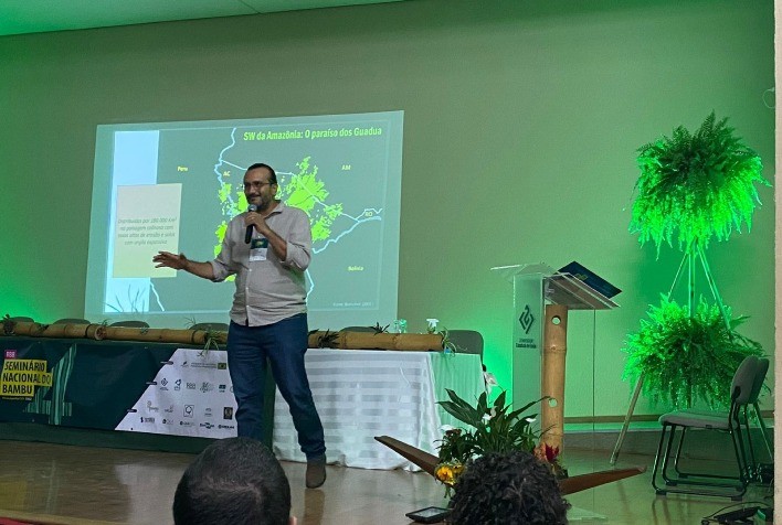 Uso sustentável do bambu nativo do Acre é alternativa para a economia local