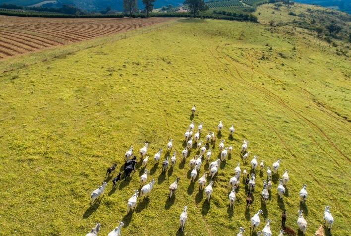 Por que o agronegócio deve buscar proteção na Segurança Exponencial?