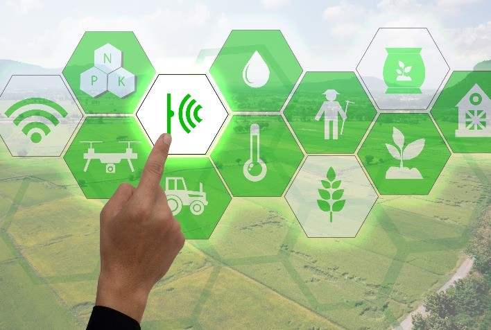 Os horizontes de Inovação e o impacto no campo