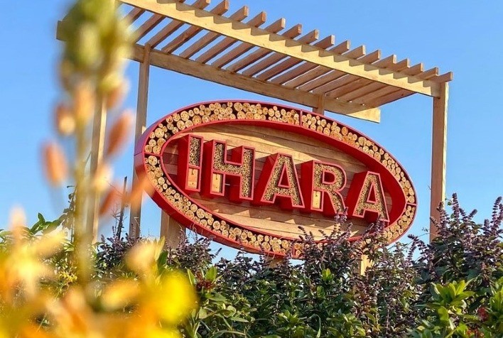 IHARA investe na preservação e valorização de polinizadores no MT