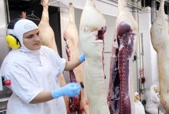 Exportações de carne suína começam dezembro/22 com desempenho melhor que dezembro/21