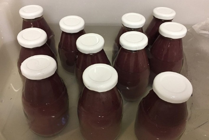 O açaí da Mata Atlântica: pesquisadores desenvolvem produtos com os frutos da palmeira juçara