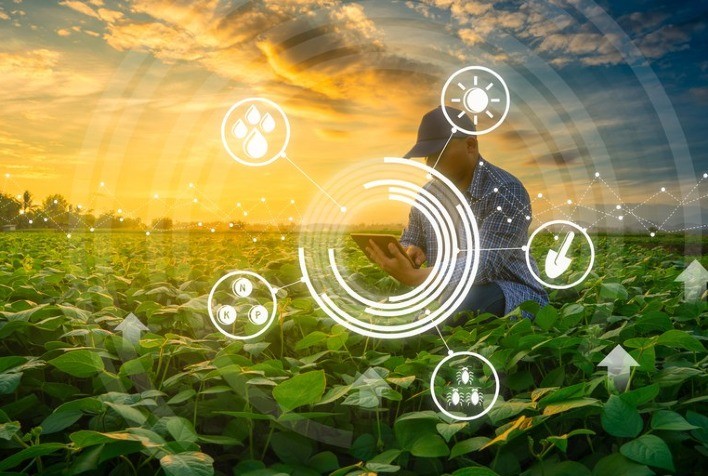 Como os dados transformam a agricultura