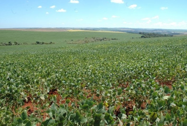 Epagri usa imagens de satélite para mapear área de soja em SC