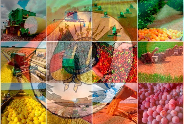 PIB do RS registra alta de 1,3%