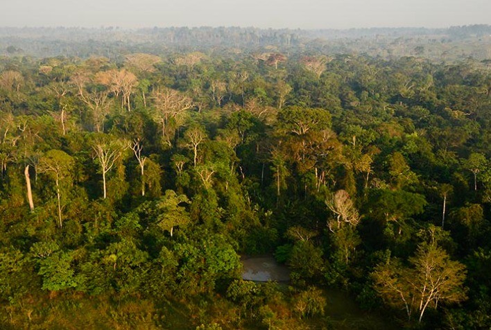 TNC lança estudo sobre potencial de carbono na Amazônia e no Cerrado e seu papel no financiamento da soja e pecuária