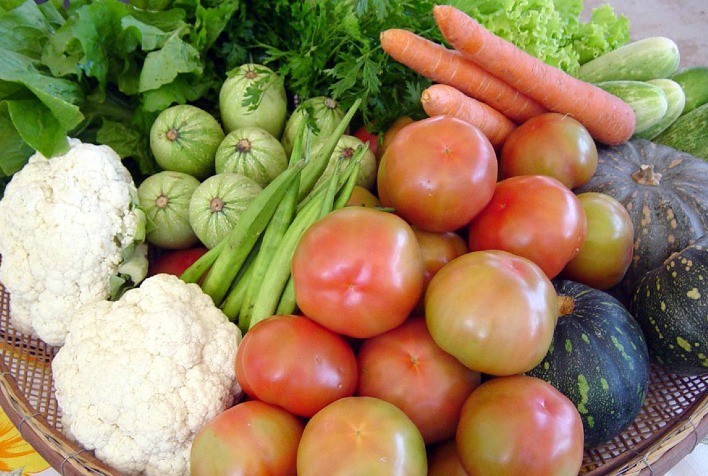 Alimenta Brasil destinará R$ 1 milhão para a compra de alimentos da agricultura familiar em São João del-Rei