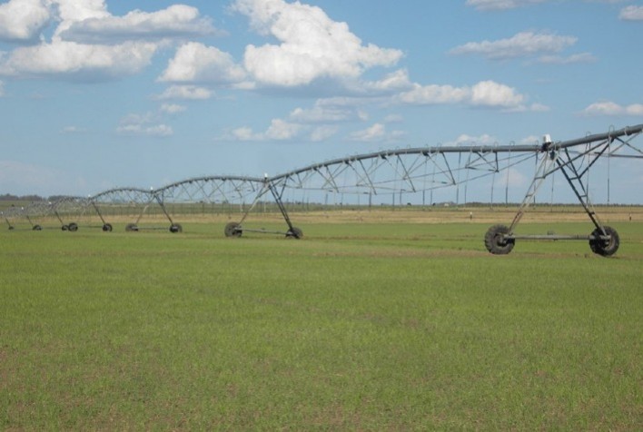 Ciência desenvolve práticas que mitigam a emissão de gases de efeito estufa no cultivo de arroz irrigado