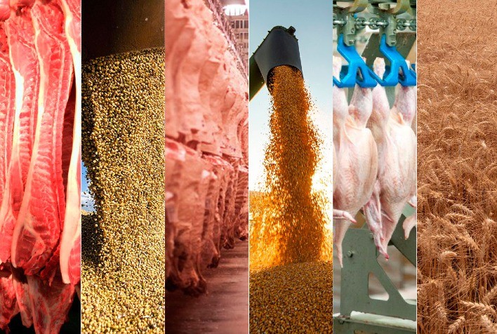 Cenário global pode afetar vendas de carnes e grãos do Brasil em 2023, diz Céleres