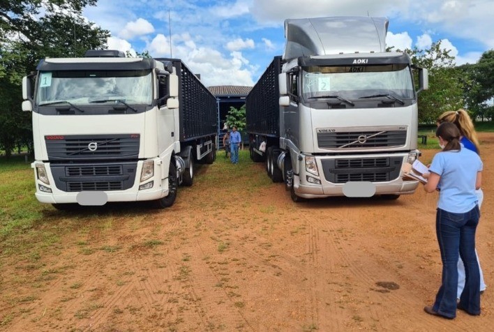 Exemplares de raças zebuínas e seus cruzamentos quarentenados em Uberaba já estão na Bolívia