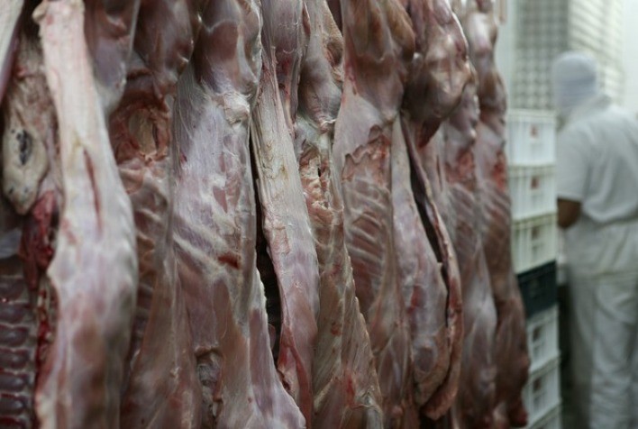 SINDICARNE-PR alerta para a crise na indústria de abate de bovinos do Paraná