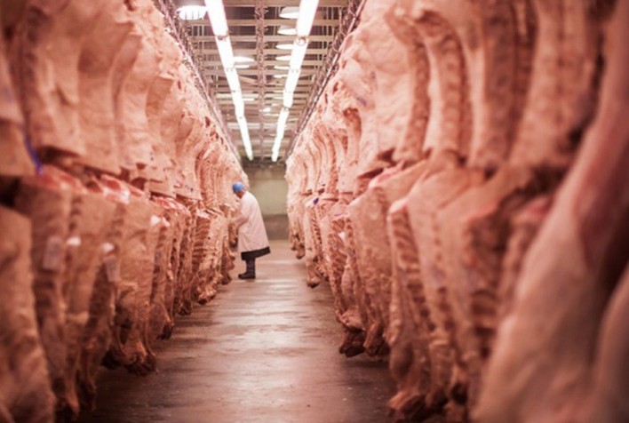 Detalhamento das exportações de carne bovina por produtos no decorrer de 2022