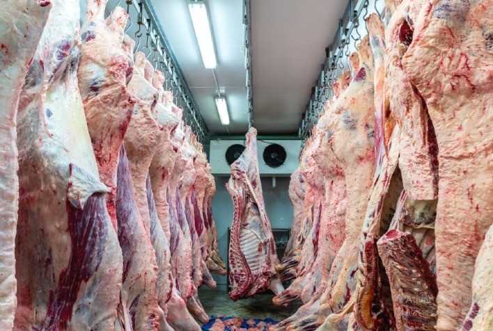 Exportações de carne bovina do Brasil devem superar média global em 2023