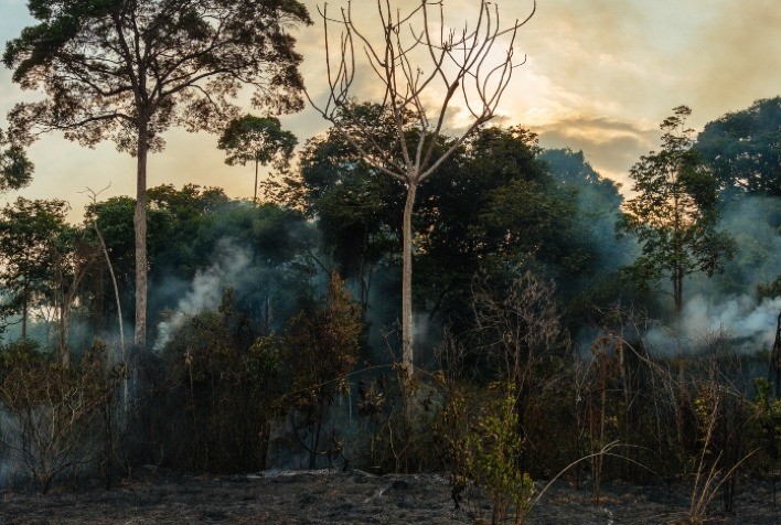 Estudo aponta que a degradação atinge mais de um terço da Floresta Amazônica
