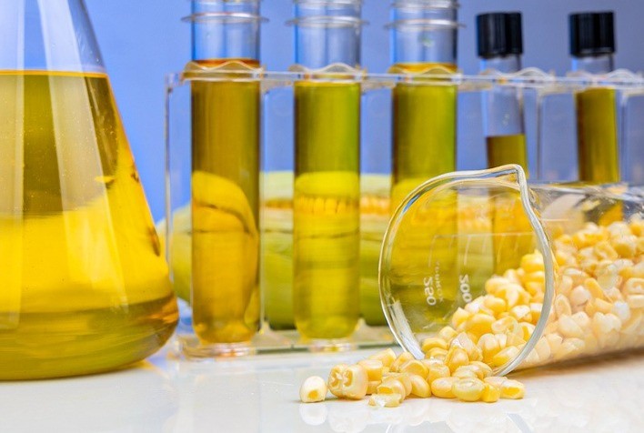 São Martinho começa a produzir etanol de milho em Goiás ainda neste mês