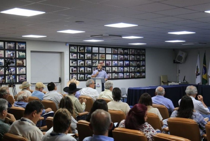 ‘Cenários e perspectivas para a raça Sindi’