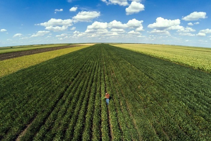 Liberação do crédito rural alcança R$ 222,8 bilhões em sete meses do atual plano safra