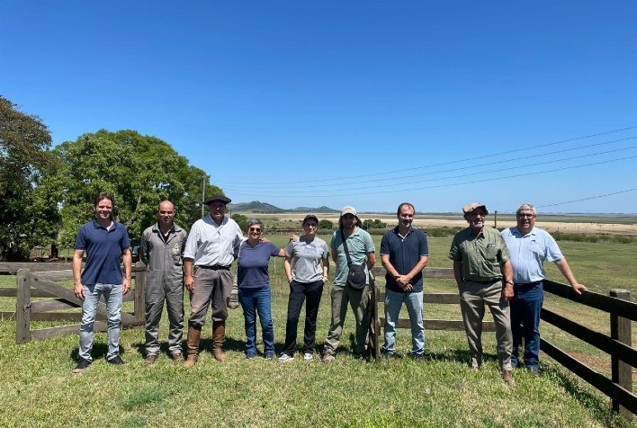 Febre Aftosa: Área livre sem vacinação tem primeira vitória