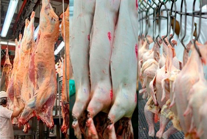 Desempenho exportador das carnes no primeiro decêndio de fevereiro de 2023