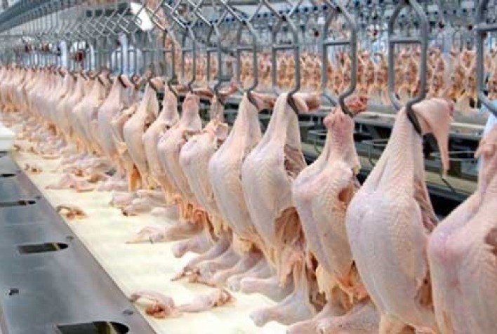 Líder mundial no mercado de frango halal, Brasil amplia ação na maior feira de alimentos do Oriente Médio