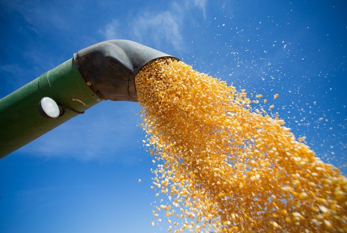 Brasil deve ter lento ritmo de comercialização de milho
