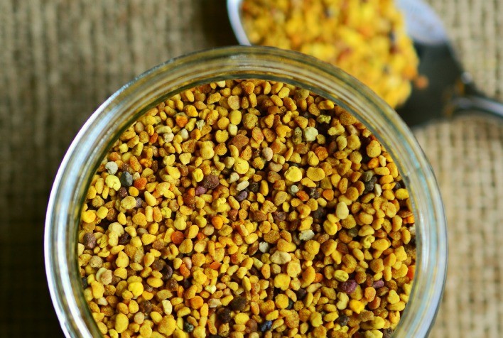 Além do mel: conheça outras oportunidades de negócio com a apicultura