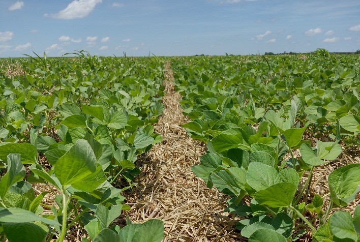 Manejo biológico com Biotecnologia Microgeo® é assunto do Itaipu Rural Show 2023