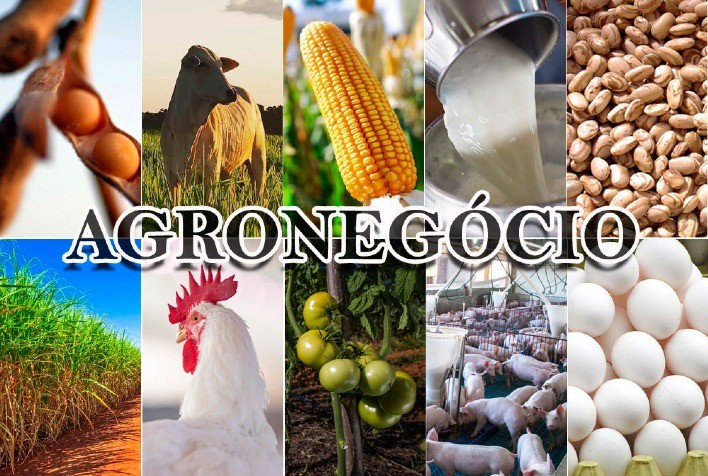 Agronegócio goiano é destaque nacional na produção e exportação com mais de 10 produtos