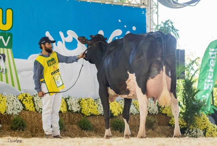 Filhas de touros Semex brilham na pista do Itaipu Rural Show 2023