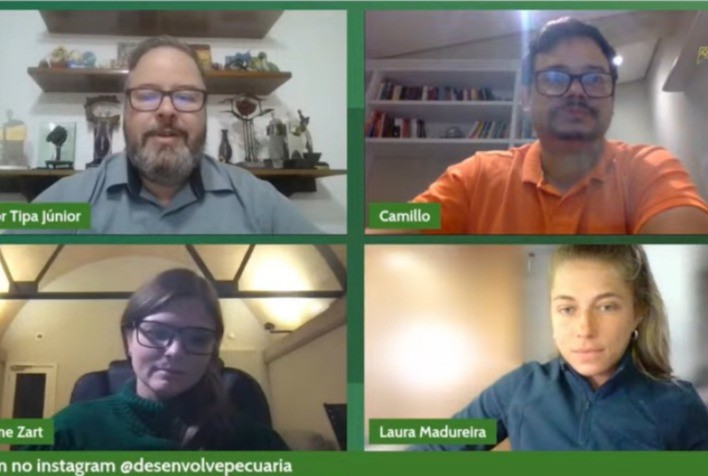 Manejo diferenciado do gado gera economia no abate e na inseminação