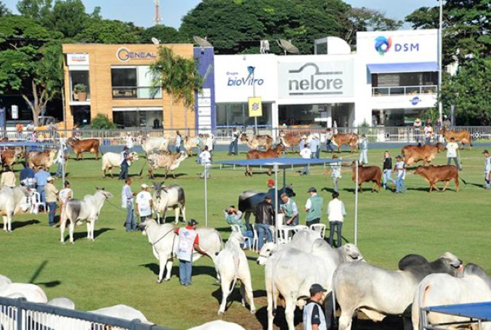 88ª ExpoZebu: confira o passo a passo do pré-credenciamento de veículos para expositores de animais
