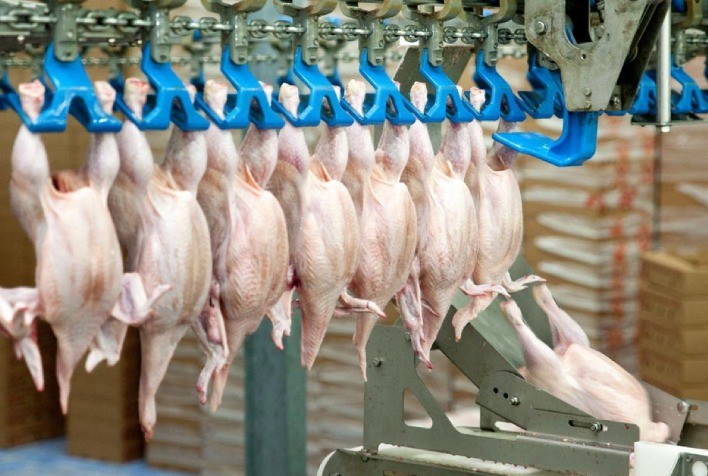Evolução e relação de preços entre Brasil e EUA na exportação de carne de frango