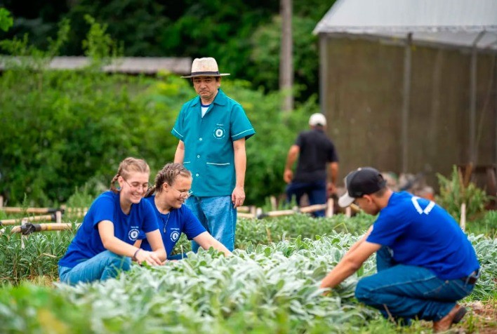 Paraná aumenta aquisição de alimentos orgânicos para merenda escolar