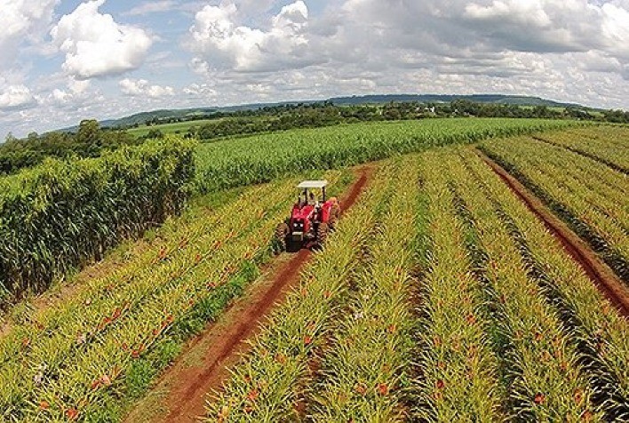 Barômetro agrícola dos EUA cai