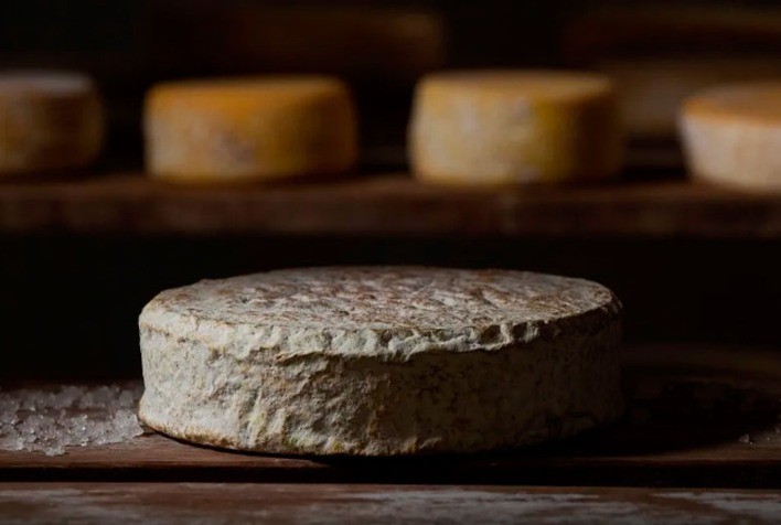 Pesquisas realizadas na UFLA contribuem para a formalização do Queijo Minas Artesanal com Casca Florida