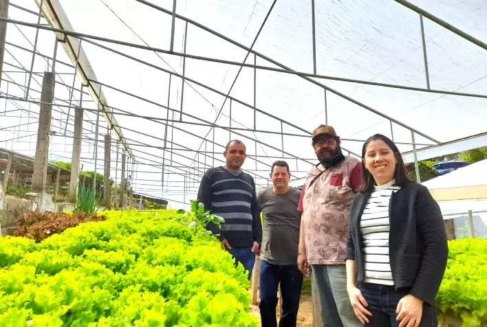 Hortaliças ganham espaço na área periurbana de Conselheiro Lafaiete