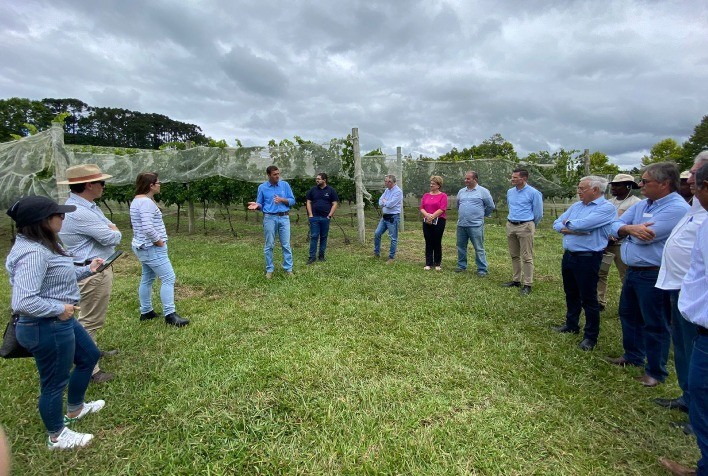 AgroBrazil: diplomatas conhecem vinícola em Santa Catarina