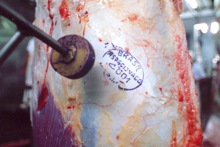 Carne bovina fiscalizada atingiu crescimento de quase 7%