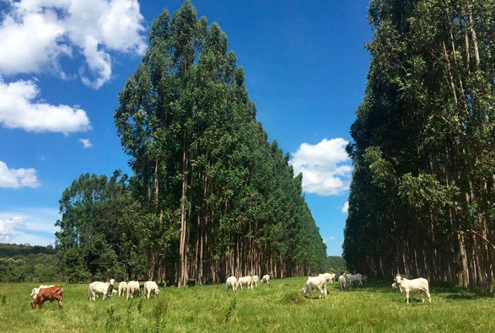 John Deere participa de Dia de Campo da Associação Rede ILPF na Fazenda Santa Brígida