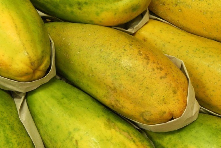 Procura-se mamão formosa!