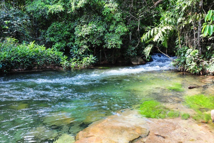 Em cinco anos, programa Restaurar já beneficiou 16 sub bacias hidrográficas em Minas Gerais