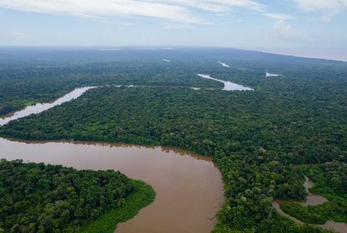 Floresta e Água: recursos naturais essenciais para nossa sobrevivência