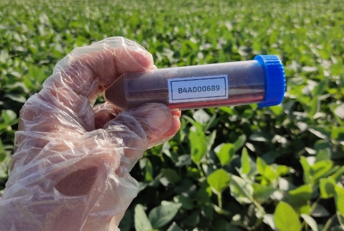 Mapeamento do solo identifica micro-organismos que favorecem a produtividade agrícola na região de Goiás