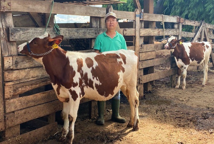 Biotecnologia é aliada dos pecuaristas para maximizar o potencial do rebanho