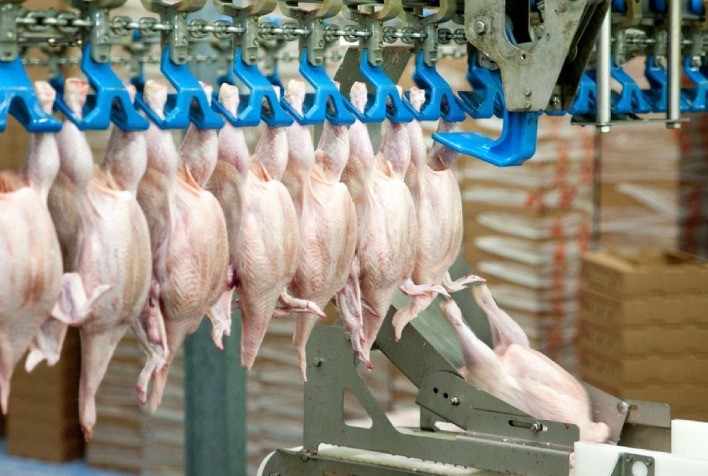 Polinésia Francesa abre mercado para carne de frango do Brasil