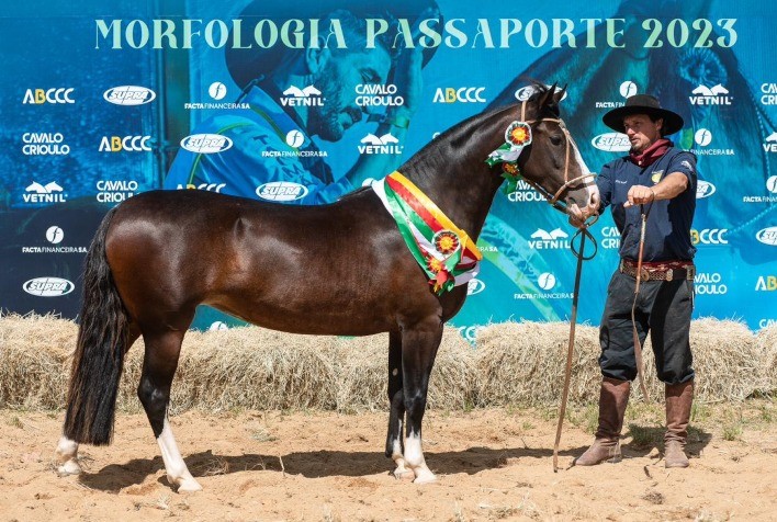 Paraná define os primeiros animais passaporteados do Ciclo Morfológico 2023