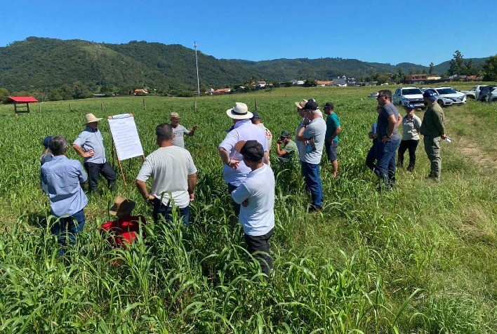 Produtores aperfeiçoam conhecimentos durante visita técnica em propriedade de gado de corte