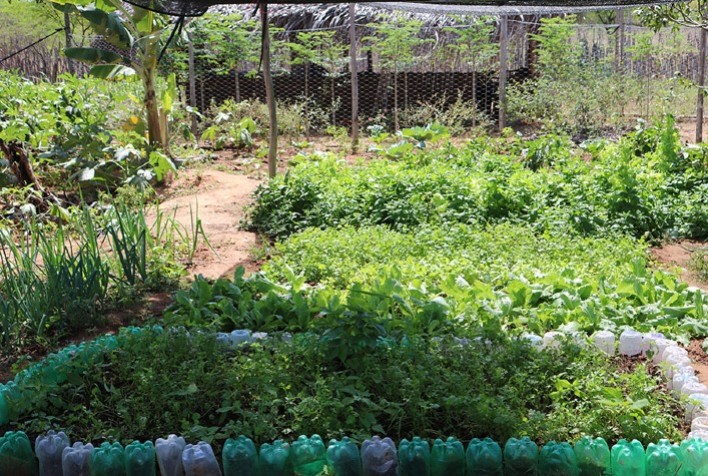 Sisteminha faz 21 anos e ganha versão voltada ao empreendedorismo comunitário