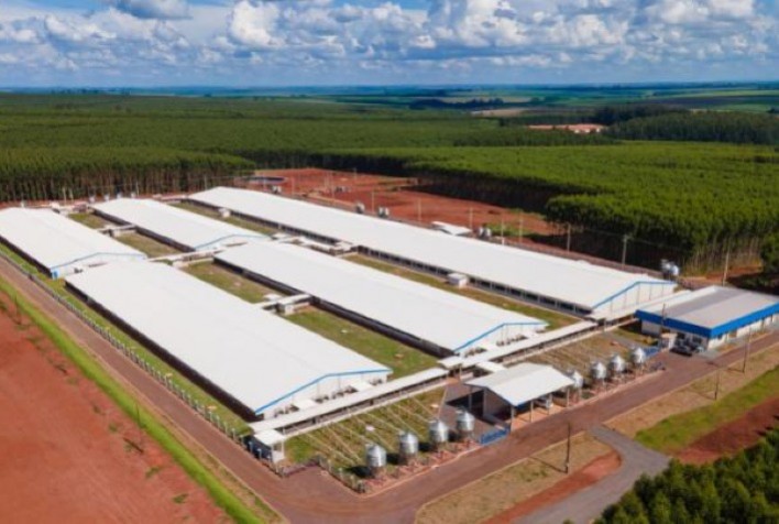 C.VALE: Inaugurada nova Unidade Produtora de Leitões Desmamados