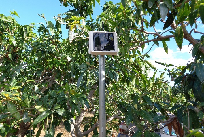 Startup de tecnologia inédita gera recomendações de manejo com foco na agricultura preditiva
